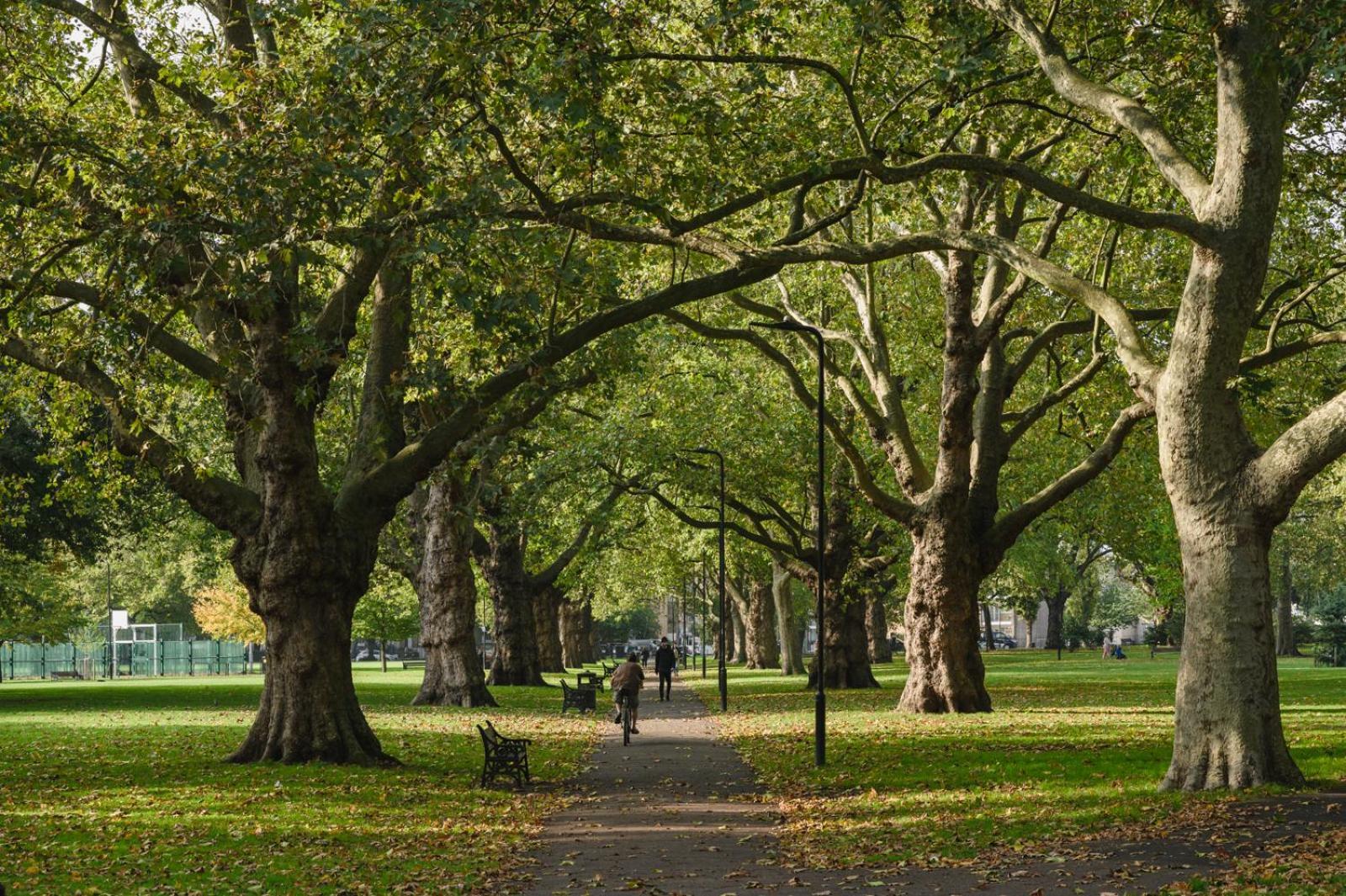Lovely Apartment In Victoria Park Village London Luaran gambar